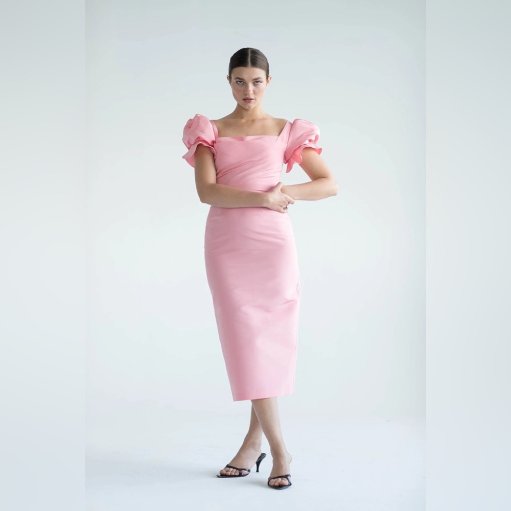 Damaris Bailey Rosa Dress XS NWT $625